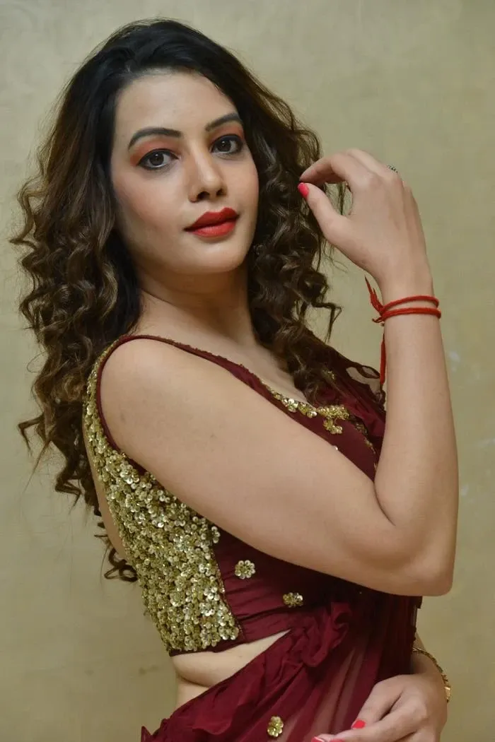 Diksha Panth In Maroon Saree At Movie Press Meet